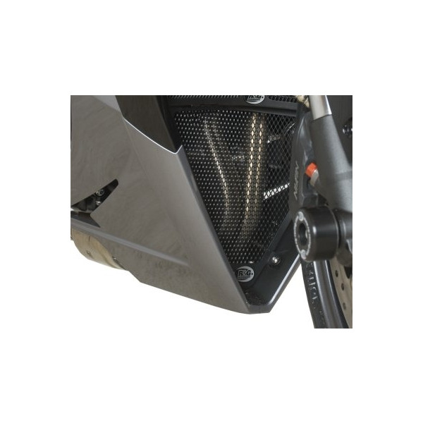 R&G Downpipe Grille for Triumph Daytona 675 '13-'16